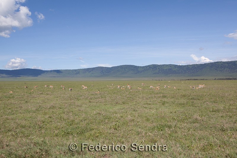 tanzanie_paysages_ngorongoro_196