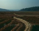 karnataka_005