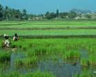 karnataka_013