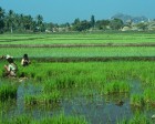 karnataka_013