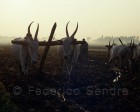 karnataka_028