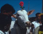 badami_007