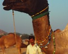 pushkar_024