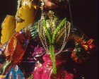 pushkar_065