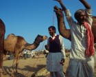 pushkar_075