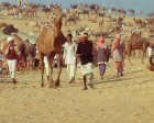 pushkar_092