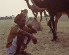 pushkar_096