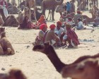 pushkar_103