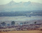 pushkar_140