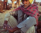 pushkar_165