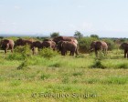 tanzanie_manyara_116