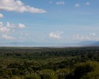 tanzanie_manyara_133