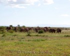 tanzanie_manyara_136