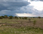 tanzanie_manyara_138