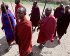 tanzanie_massai_dance_112