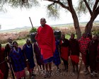 tanzanie_massai_dance_113