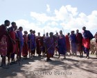 tanzanie_massai_dance_127