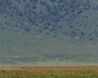 tanzanie_elefant_ngorongoro031