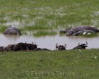 tanzanie_safari_ngorongoro_109