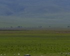 tanzanie_safari_ngorongoro_113