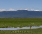 tanzanie_safari_ngorongoro_114