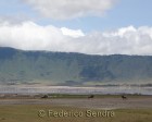 tanzanie_safari_ngorongoro_116
