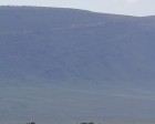 tanzanie_safari_ngorongoro_129
