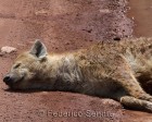 tanzanie_safari_ngorongoro_136