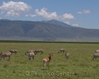 tanzanie_safari_ngorongoro_167