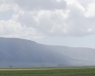 tanzanie_safari_ngorongoro_168