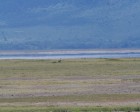 tanzanie_safari_ngorongoro_177