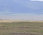 tanzanie_safari_ngorongoro_197