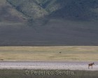tanzanie_safari_ngorongoro_201