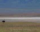 tanzanie_safari_ngorongoro_202