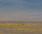 tanzanie_safari_ngorongoro_213