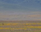 tanzanie_safari_ngorongoro_214