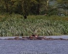 tanzanie_safari_ngorongoro_215