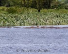 tanzanie_safari_ngorongoro_218