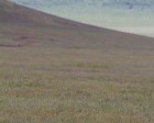 tanzanie_safari_ngorongoro_219