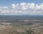 tanzanie_ciels_033