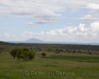 tanzanie_ciels_047