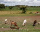 tanzanie_routes_102