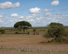 tanzanie_routes_104