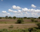 tanzanie_routes_131