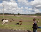 tanzanie_routes_143