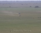 tanzanie_serengeti_105