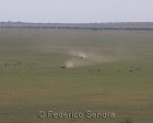 tanzanie_serengeti_106