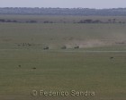 tanzanie_serengeti_107