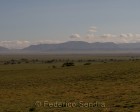 tanzanie_serengeti_110