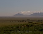 tanzanie_serengeti_111